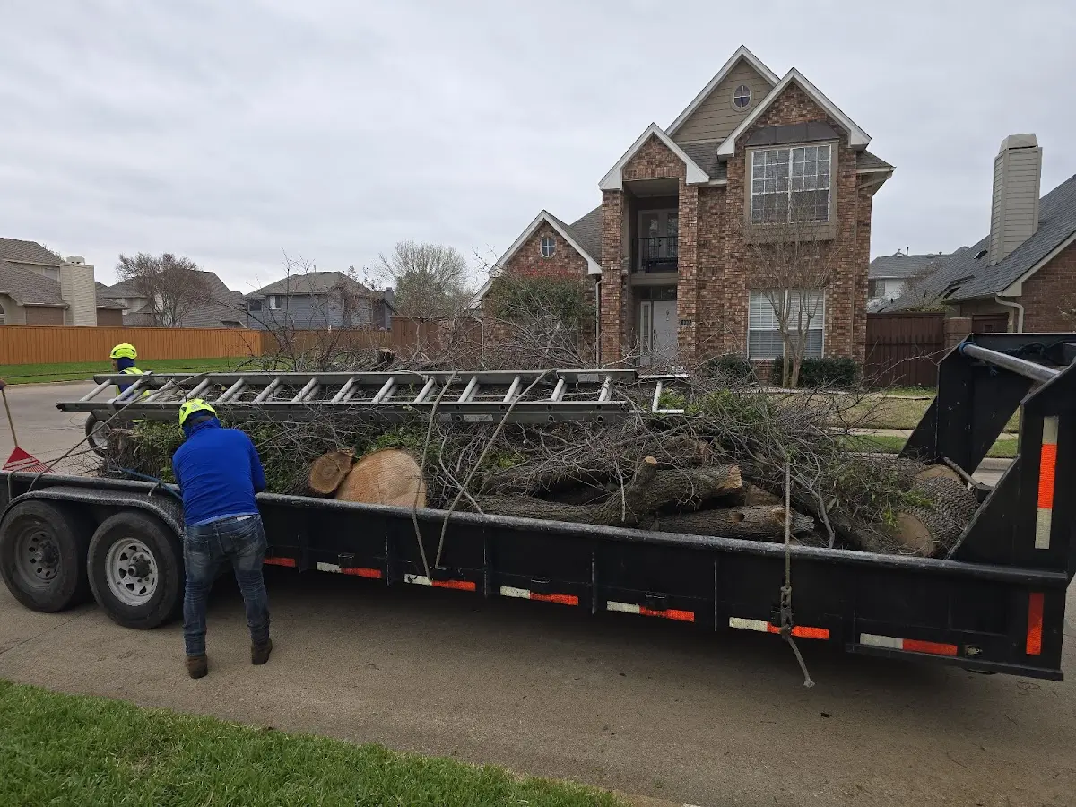 Expert Crown Reduction with proper safety equipment in Reedsburg